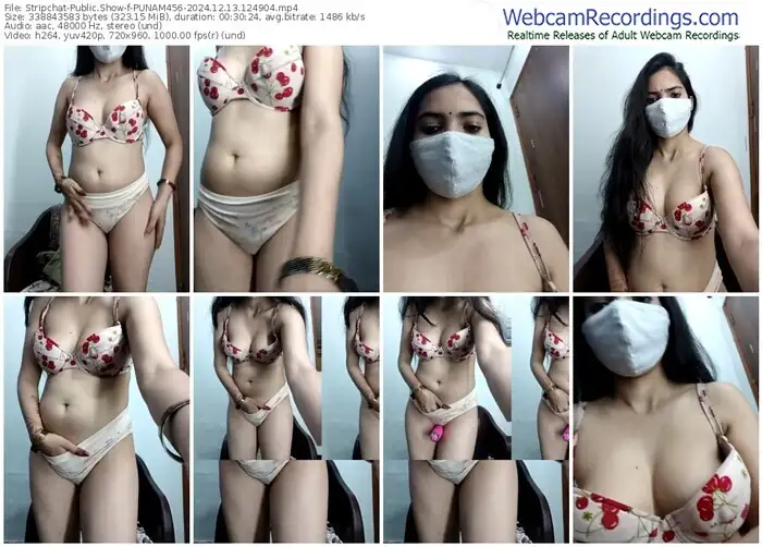 2024/12/13/stripchat-punam456-12-49-04