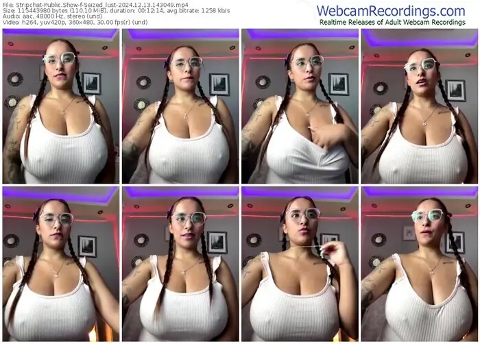 2024/12/13/stripchat-seized_lust-14-30-49