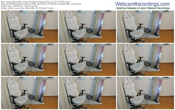2024/12/13/stripchat-selena_rase-11-27-41