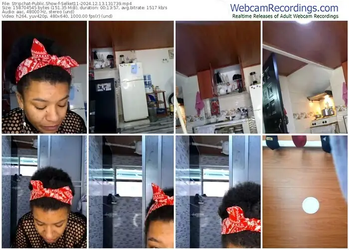 2024/12/13/stripchat-selket11-13-17-39