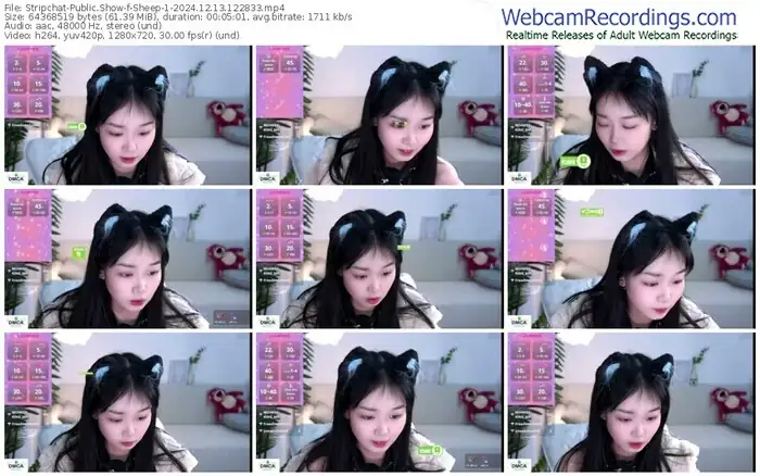 2024/12/13/stripchat-sheep-1-12-28-33