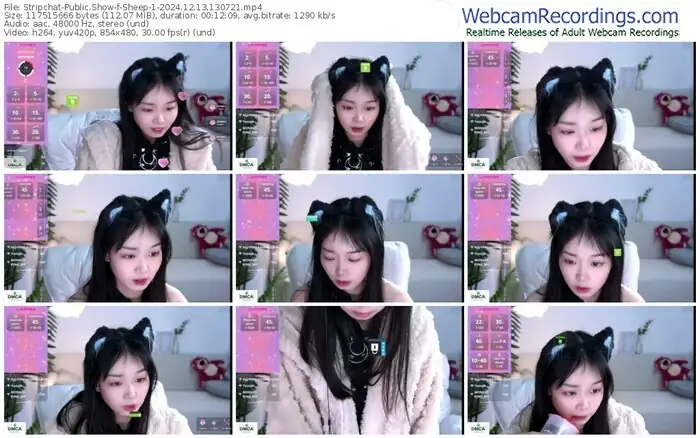 2024/12/13/stripchat-sheep-1-13-07-21