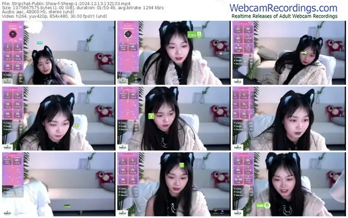 2024/12/13/stripchat-sheep-1-13-21-03