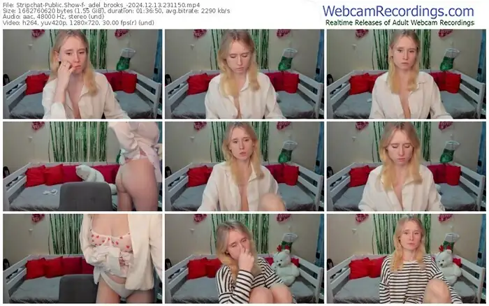 2024/12/13/stripchat-_adel_brooks_-23-11-50