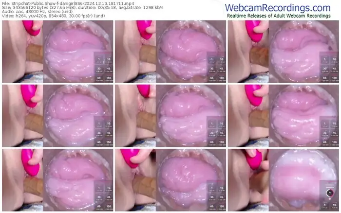 2024/12/13/stripchat-danigirl866-18-17-11