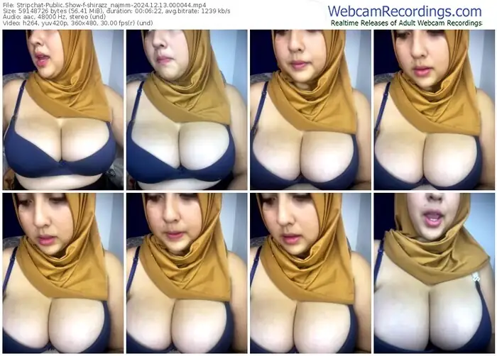 2024/12/13/stripchat-shirazz_najmm-00-00-44
