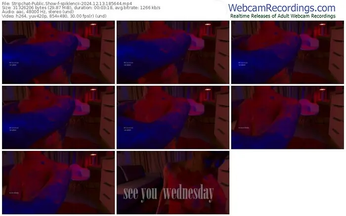 2024/12/13/stripchat-spiklencii-18-56-44