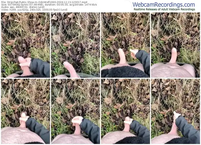 2024/12/13/stripchat-odinwolf1990-12-30-17
