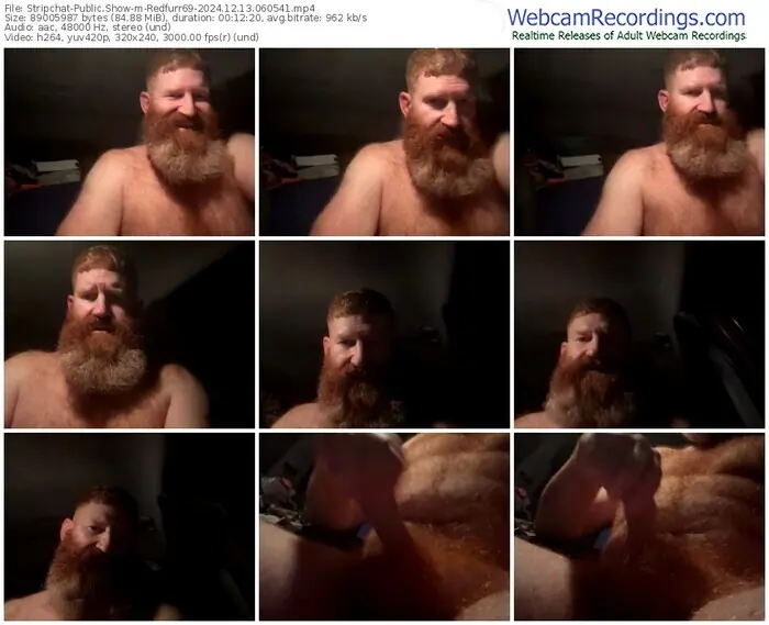 2024/12/13/stripchat-redfurr69-06-05-41