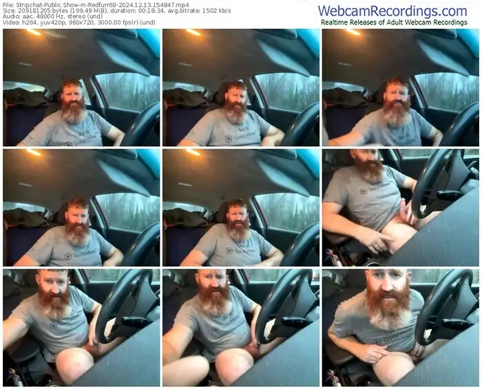 2024/12/13/stripchat-redfurr69-15-48-47