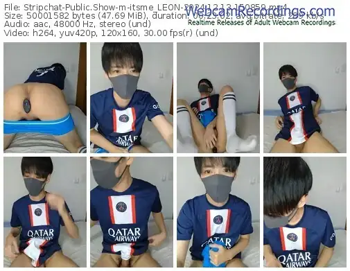 2024/12/13/stripchat-itsme_leon-15-08-59