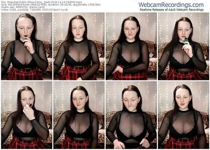 2024/12/14/stripchat-aria__dark-23-00-54