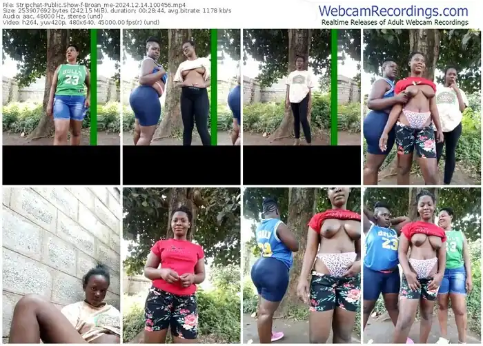 2024/12/14/stripchat-broan_me-10-04-56