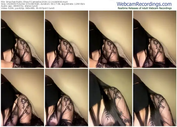 2024/12/14/stripchat-cameelia-08-09-30