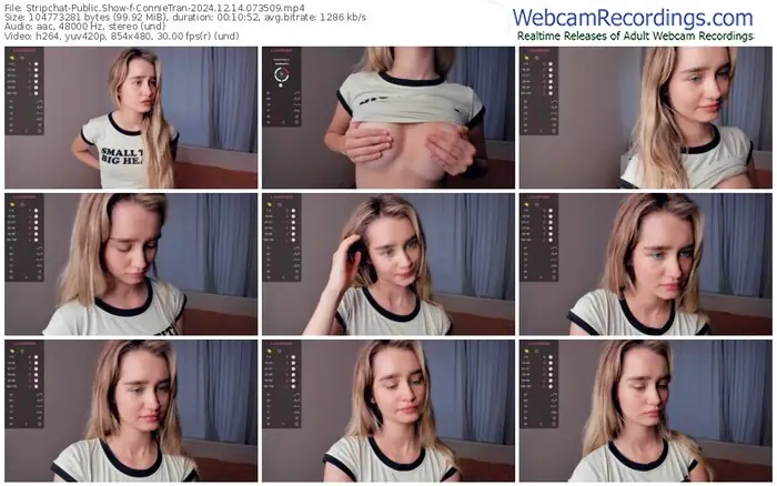 2024/12/14/stripchat-connietran-07-35-09