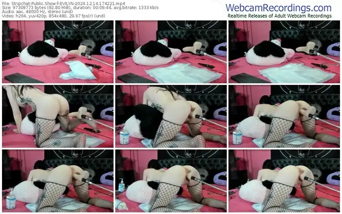 2024/12/14/stripchat-evilyn-17-42-21