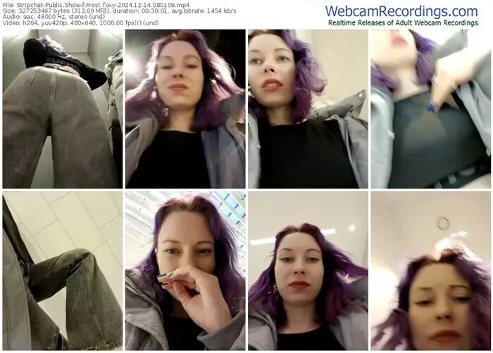 2024/12/14/stripchat-frost_foxy-08-01-09