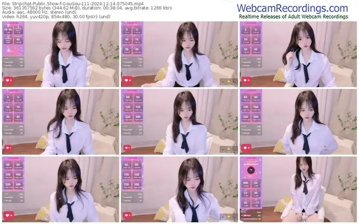 2024/12/14/stripchat-gougou-111-07-50-45