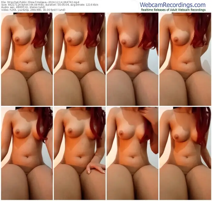 2024/12/14/stripchat-halawa--06-47-42