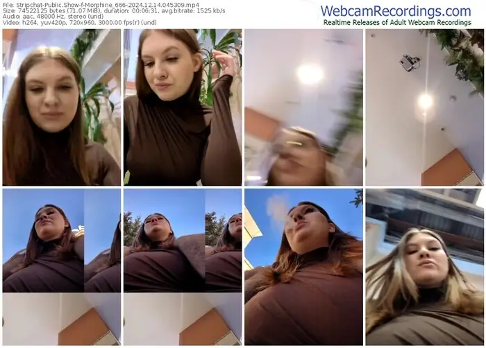 2024/12/14/stripchat-morphine_666-04-53-09