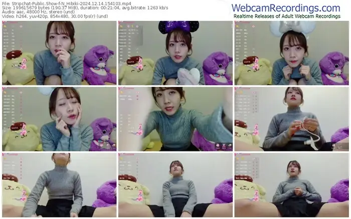 2024/12/14/stripchat-n_hibiki-15-41-03