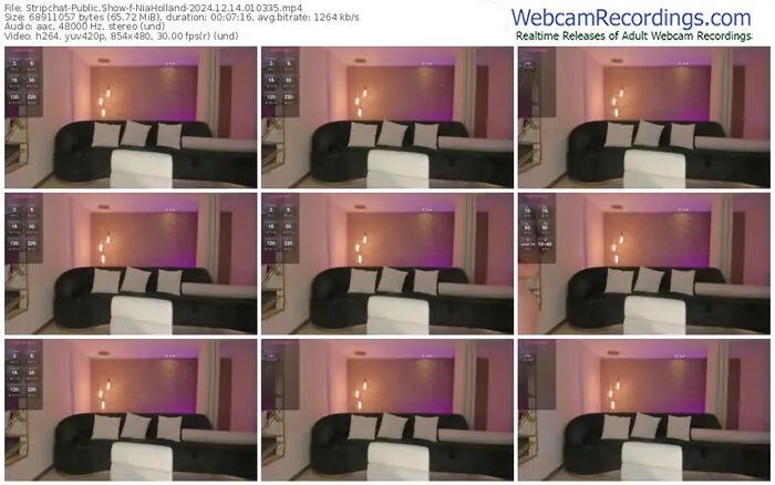 2024/12/14/stripchat-niaholland-01-03-35