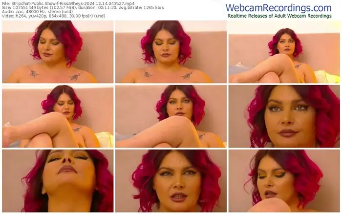2024/12/14/stripchat-rissarheys-04-35-27