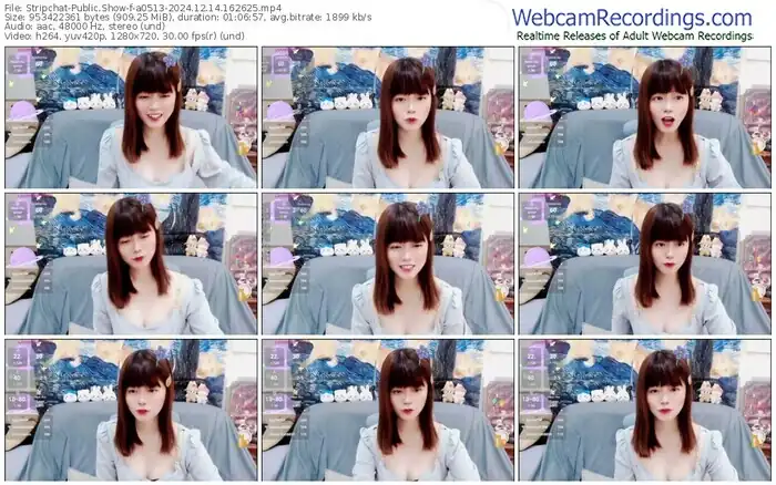 2024/12/14/stripchat-a0513-16-26-25