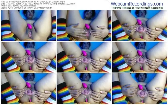 2024/12/14/stripchat-kamila-wc-23-58-01