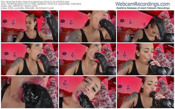 2024/12/14/stripchat-mssburbuja-10-42-54