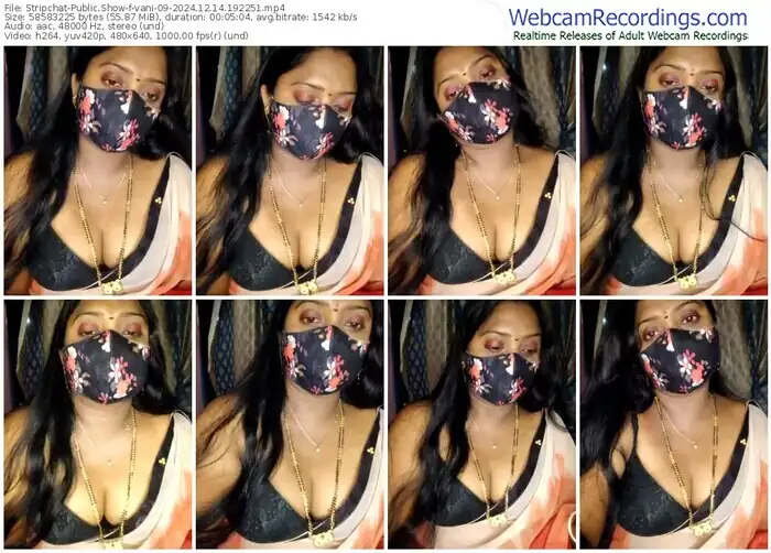 2024/12/14/stripchat-vani-09-19-22-51