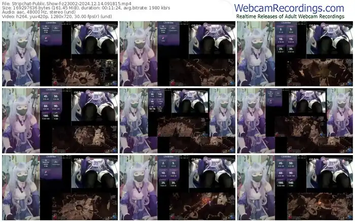 2024/12/14/stripchat-z23002-09-18-15