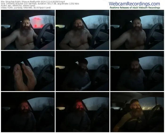 2024/12/14/stripchat-redfurr69-00-25-03