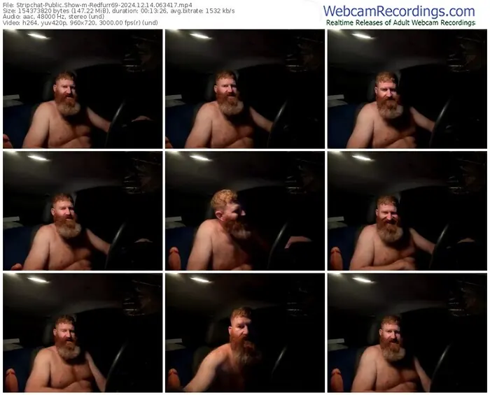 2024/12/14/stripchat-redfurr69-06-34-17