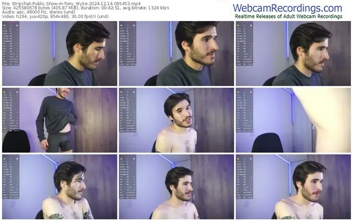 2024/12/14/stripchat-tony_wylie-09-54-53