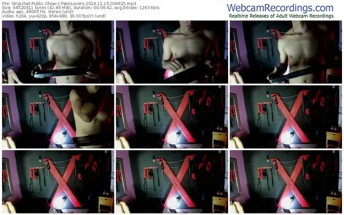 2024/12/15/stripchat-paiinlovers-00-46-25