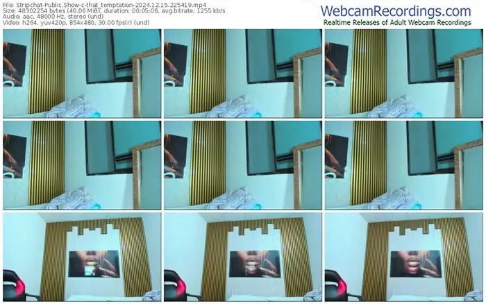 2024/12/15/stripchat-that_temptation-22-54-19