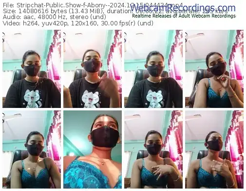 2024/12/15/stripchat-abony--04-44-34