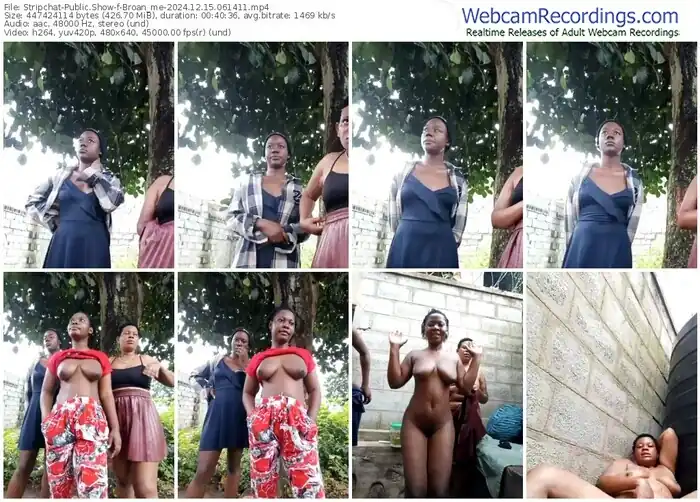 2024/12/15/stripchat-broan_me-06-14-11