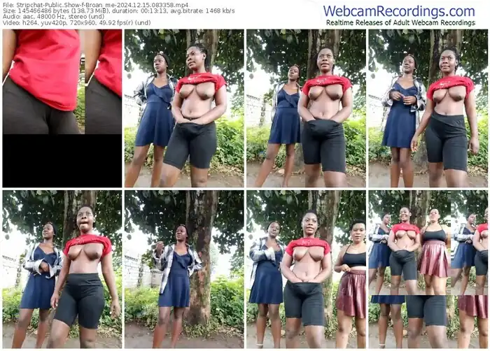 2024/12/15/stripchat-broan_me-08-33-58