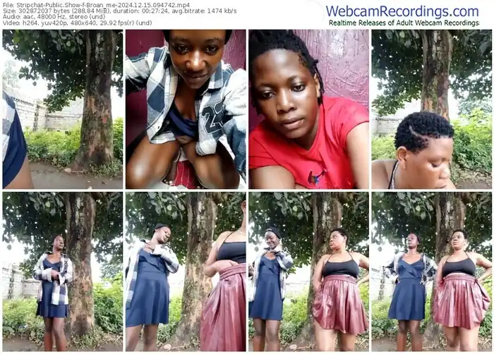 2024/12/15/stripchat-broan_me-09-47-42