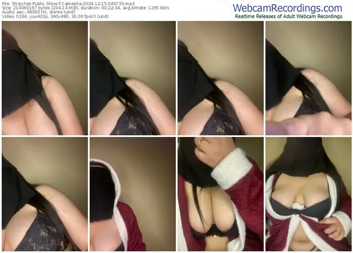 2024/12/15/stripchat-cameelia-04-07-35