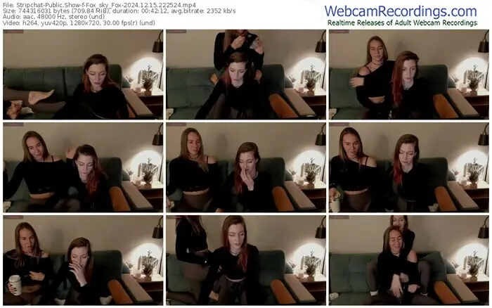 2024/12/15/stripchat-fox_sky_fox-22-25-24