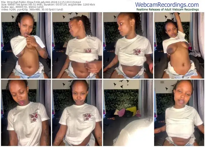 2024/12/15/stripchat-inklady444-19-11-19