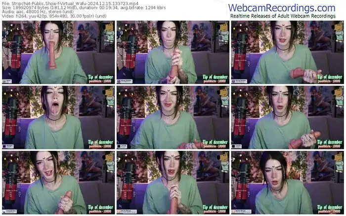 2024/12/15/stripchat-virtual_wafu-13-37-23