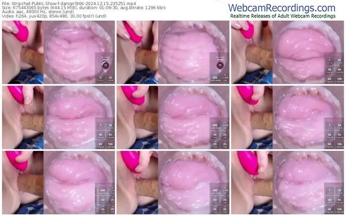 2024/12/15/stripchat-danigirl866-23-52-51