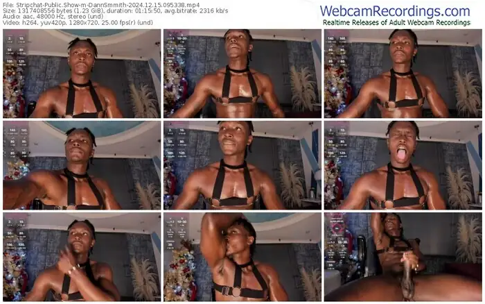 2024/12/15/stripchat-dannsmmith-09-53-38