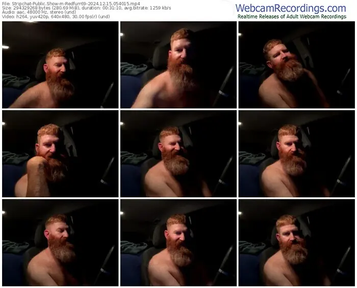 2024/12/15/stripchat-redfurr69-05-40-15