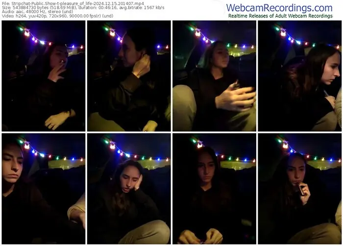 2024/12/15/stripchat-pleasure_of_life-20-14-07