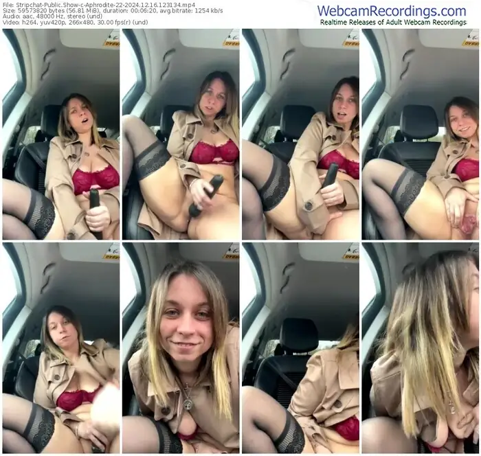 2024/12/16/stripchat-aphrodite-22-12-31-34